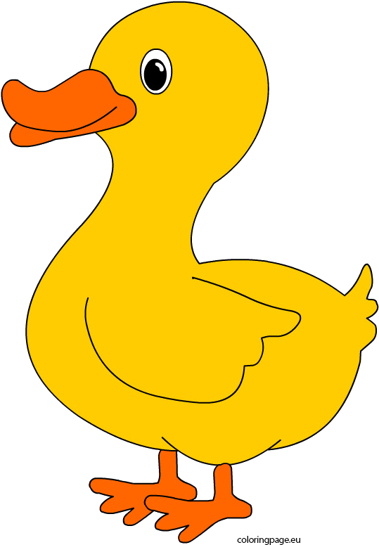 Template Of A Duck (595x808)