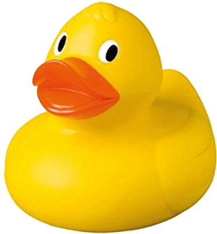 Adopt A Duck - Duck (350x350)