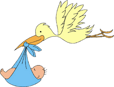 Miércoles, 1 De Enero De - Cigueñas Para Baby Shower (400x306)