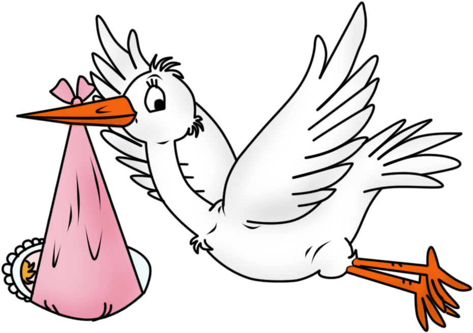 Ampliar Esta Imagen - Klapperstorch Mit Baby (1181x805)