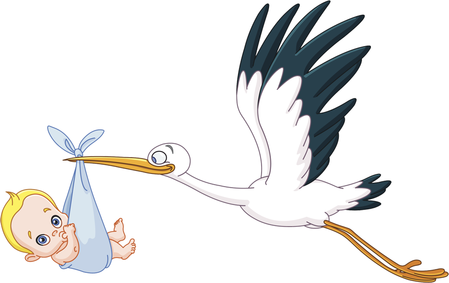 Ampliar Esta Imagen - Cigueña Para Baby Shower (913x576)