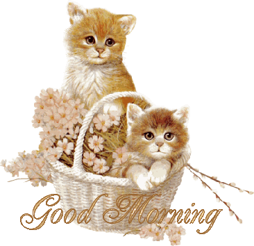 Good Morning With Cute Cats - Good Morning Cute Gif Download (366x354)