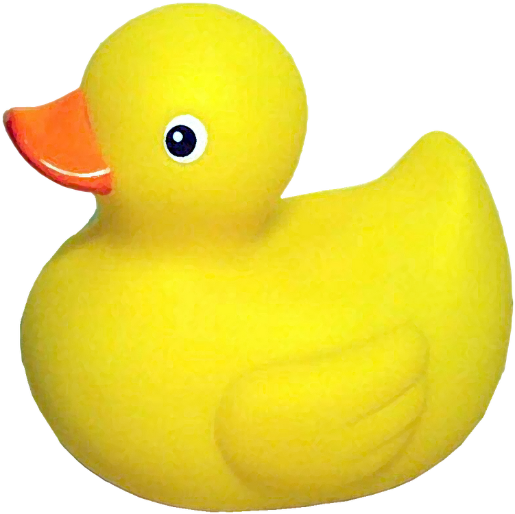 Rubber-ducky - Yellow Rubbe Duck Transparent (800x800)