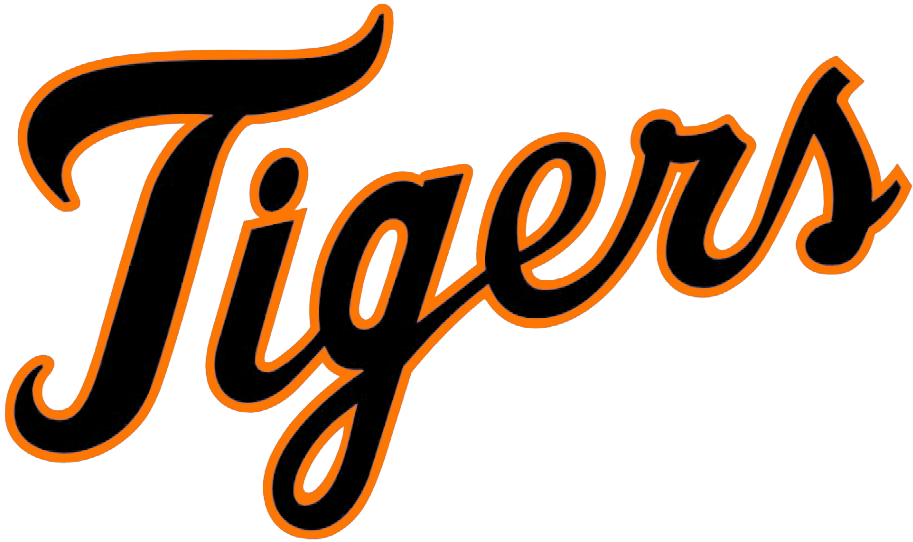 Comerica Park Detroit Tigers Connecticut Tigers Mlb - Detroit Tigers Baby Bib (919x541)