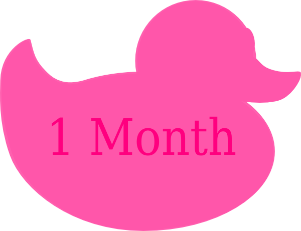 Pink Baby Duck Clip Art For Kids - Creepy Creatures By Valerie Bodden (600x461)