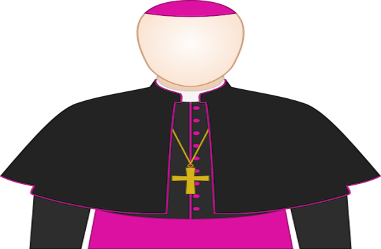 The Catholic Bishops Are By Institutional Design The - Bishop Clipart Png (550x360)