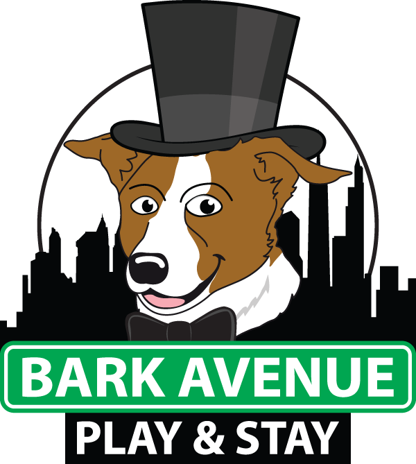 Companion Dog (600x669)