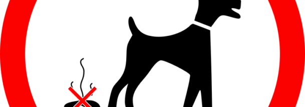 How To House Train Your Dog - Dog (609x214)