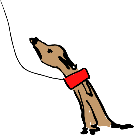 Dog Looks Beautiful By The Time They Walk Out, We Know - Dog (500x500)