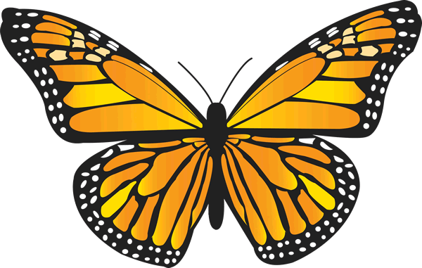 Funeral Butterflies Contact Information-live Butterfly - Monarch Butterfly Note Cards (600x381)
