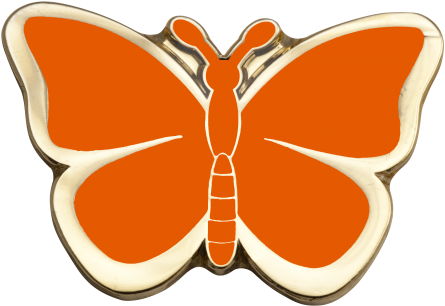 Butterfly Pins Available In Orange, Yellow, Purple, - Butterfly (500x363)
