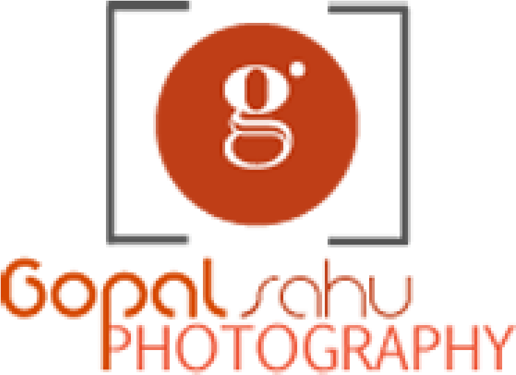 Cropped Gopal Sahu Photography Logo1 - Keystone Food Service Logo (800x620)