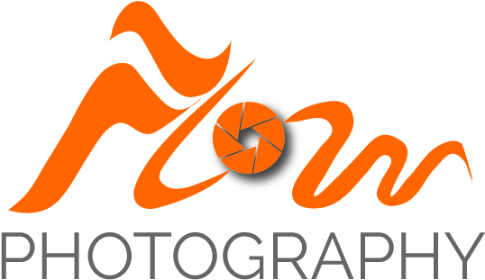 Education Logo Design (563x339)