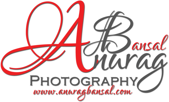 Anurag Bansal Photography - Advanced Numerical Research And Analysis Group (573x350)