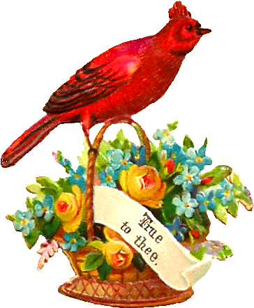 Red Rose Flower Basket Clipart - Red Birds Not Robins (565x609)