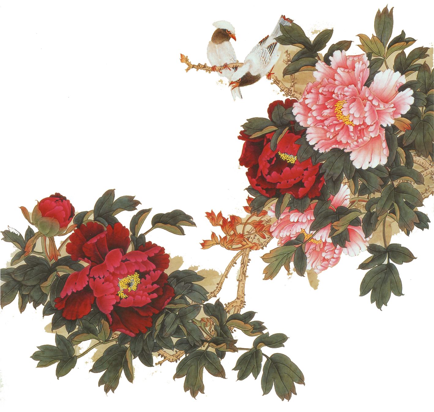 Mudan District Bird Peony Chinese Painting - Японские Рисунки (1417x1417)