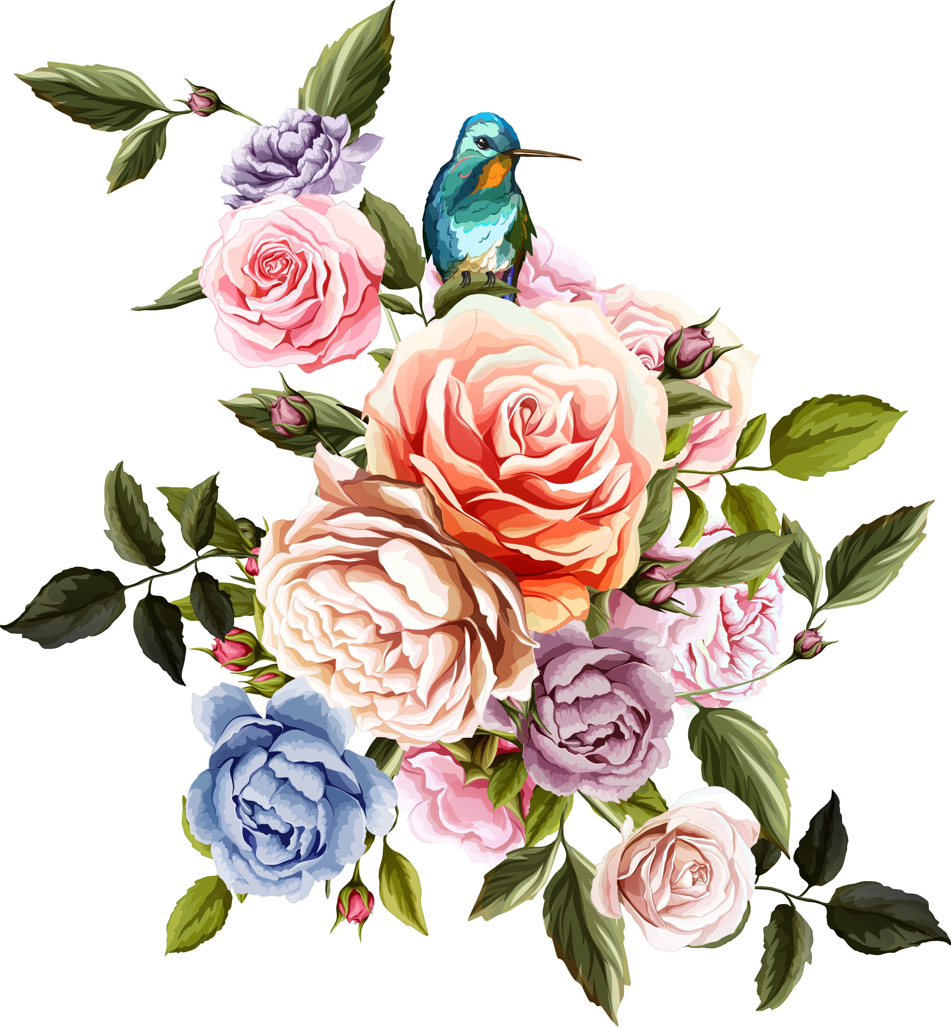 Beach Rose Flower Euclidean Vector - Flowers And Birds Png (3031x3273)