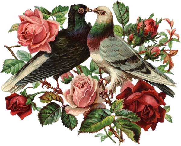 Clip Art Of Victorian Die Cut Sentimental Illustration - Love Birds Necklace, Vintage Cabochont Pendant,fashion (600x483)