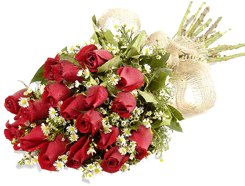 Transparent Flowers- Birds I - Transparent Flowers- Birds I (500x479)