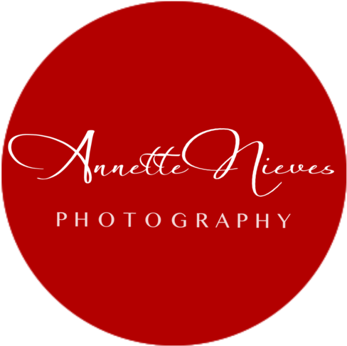 Annette Nieves Photography - Logo Crous Reims Png (1000x563)