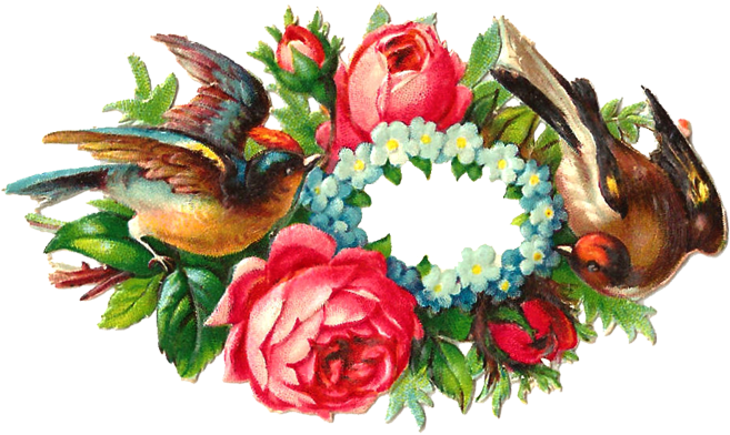 Vintage Images About Roses, Birds, Dogs, Cats, Child - Clip Art (709x411)
