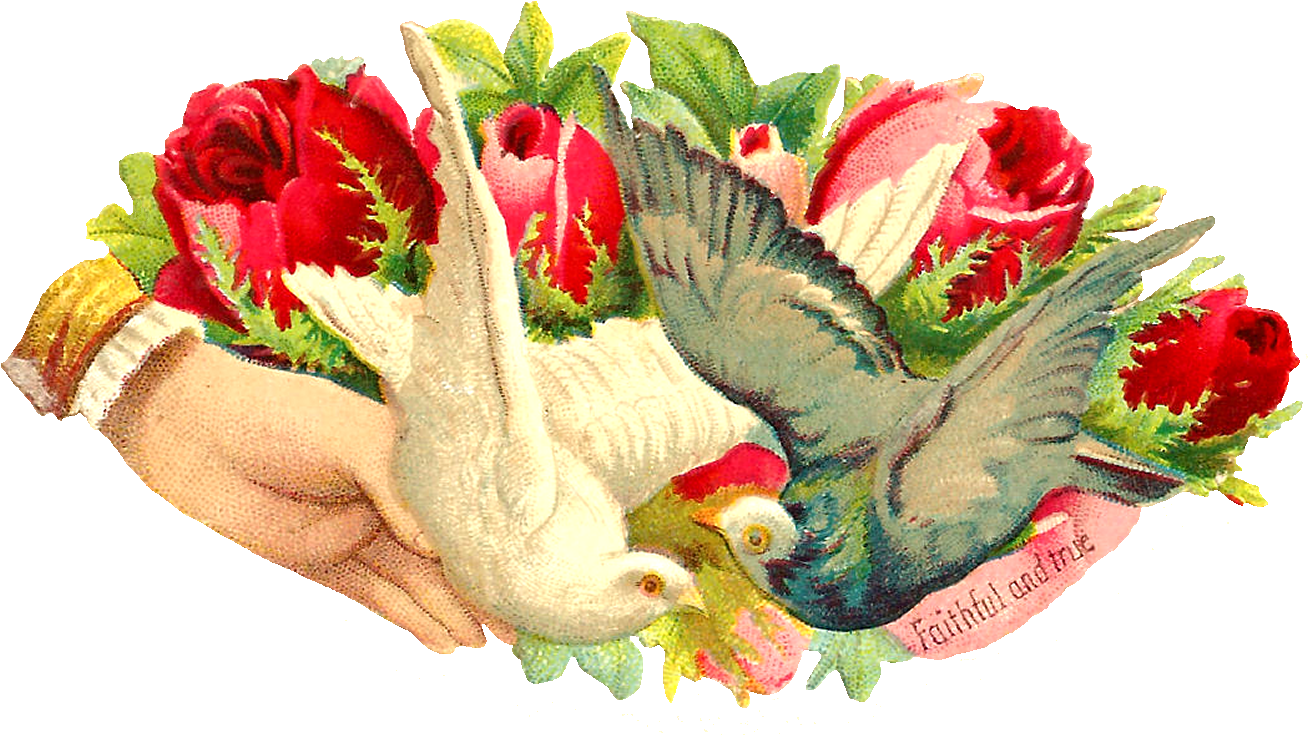 What A Beautiful Digital Bird Graphic Of Two Pigeons - Owl (1500x906)