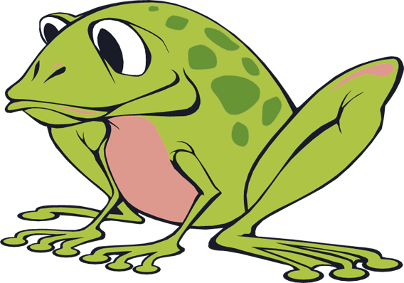 Cute Frog Images - Frog (568x398)
