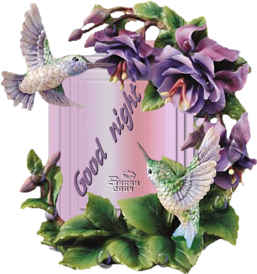 Good Night Roses Gifs In Watsapp - Good Night Hummingbirds (387x425)