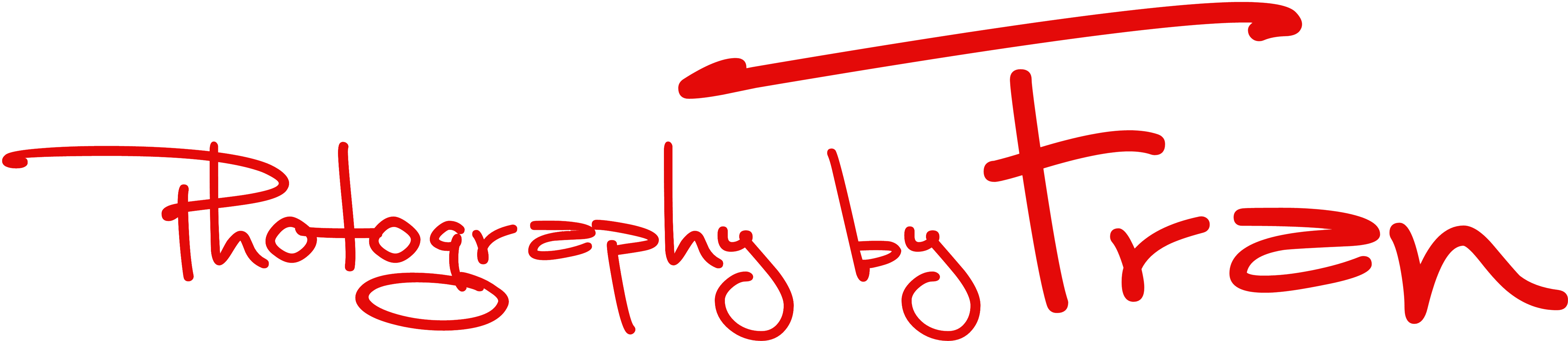 Photography Blog (5100x1128)