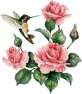 Hummingbirds And Flowers - Love You Name Gif (400x400)