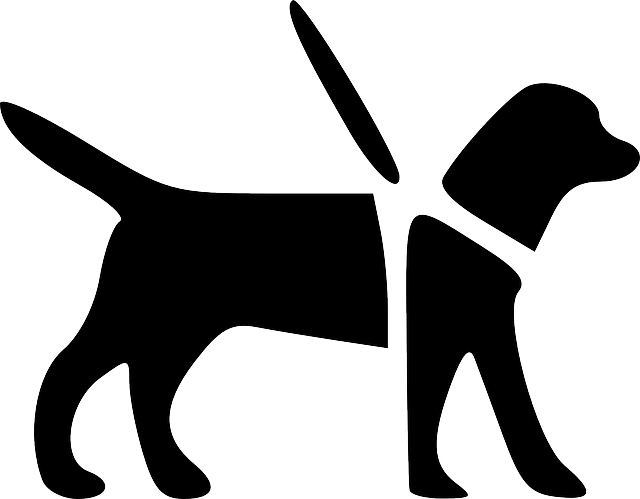Today I Want To Share Part 3 From Our Disciple Making - Guide Dog Clip Art (640x499)