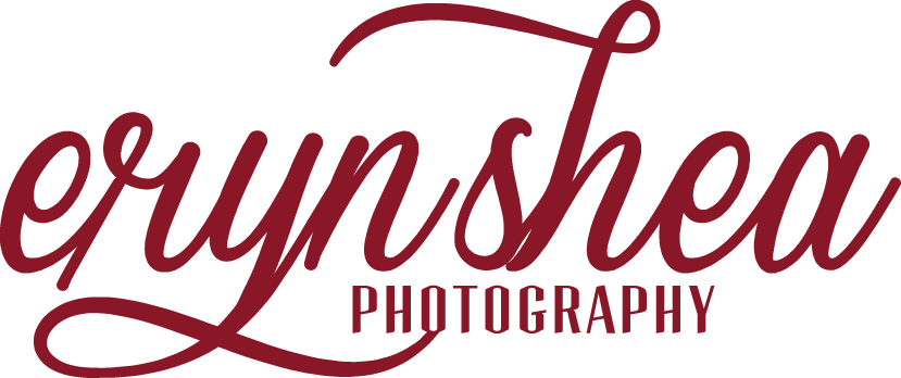 Windsor Ontario Wedding Photographer - Windsor Ontario Wedding Photographer (829x348)