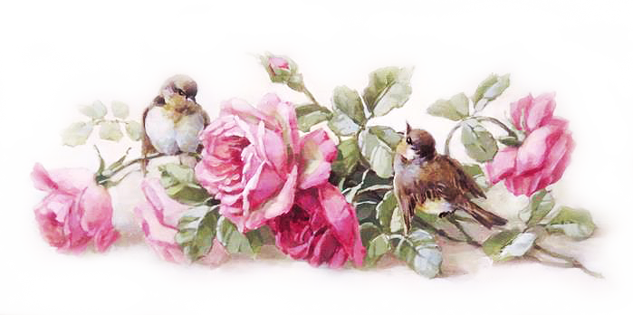 More Information - Christie Repasy (699x348)