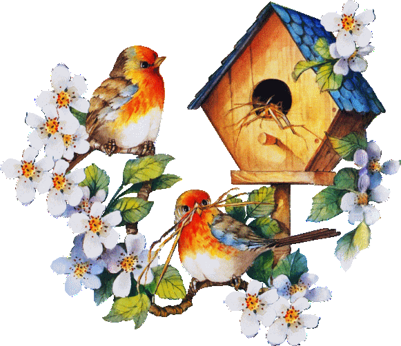 Animated Birds In Spring Spring Flowers Birds Animated - Good Morning With  Birds Gif - (581x502) Png Clipart Download