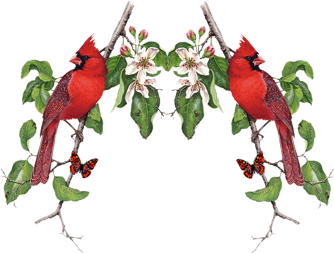 The Red Rose Predicts A Lovefest In The Near Future, - Happy Spring My Friend (664x498)