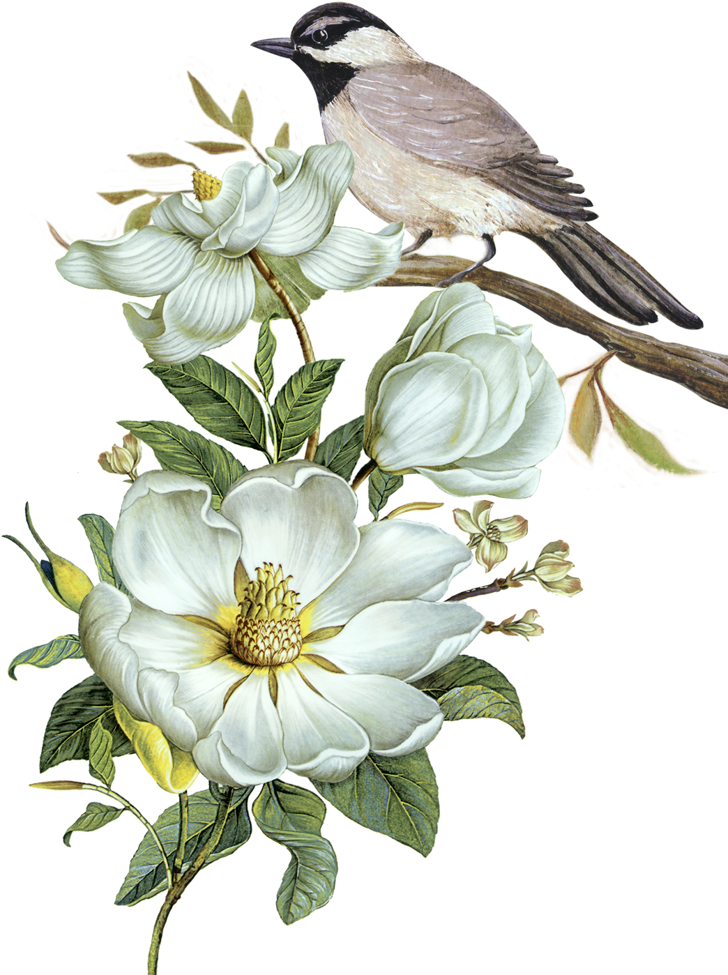 Pixel Computer File - Bird Flower Png (1094x1437)