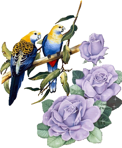 Flores Encontradas En La Web - Gifs (428x487)