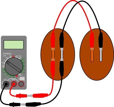 2 Potato Batteries In Parallel Veggie Power 2 In Parallel - Electric Current With A Fruit Or Vegetable Diagram (454x426)
