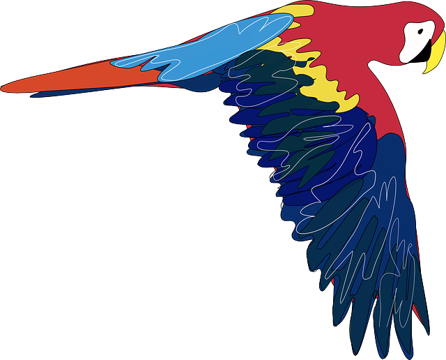 Bird, Flying, Parrot, Colorful, Animal, Pretty - Parrot Clip Art (640x516)