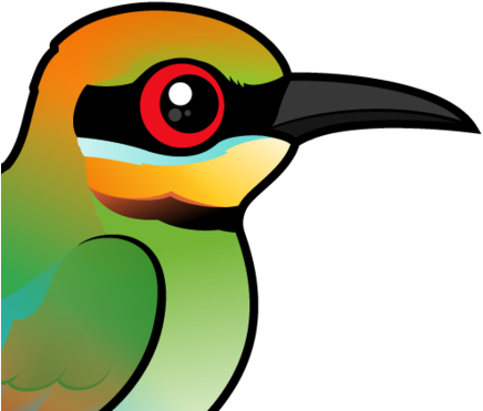 The Rainbow Bee Eater Is A Beautifully Colored Bird - King Penguin (440x440)