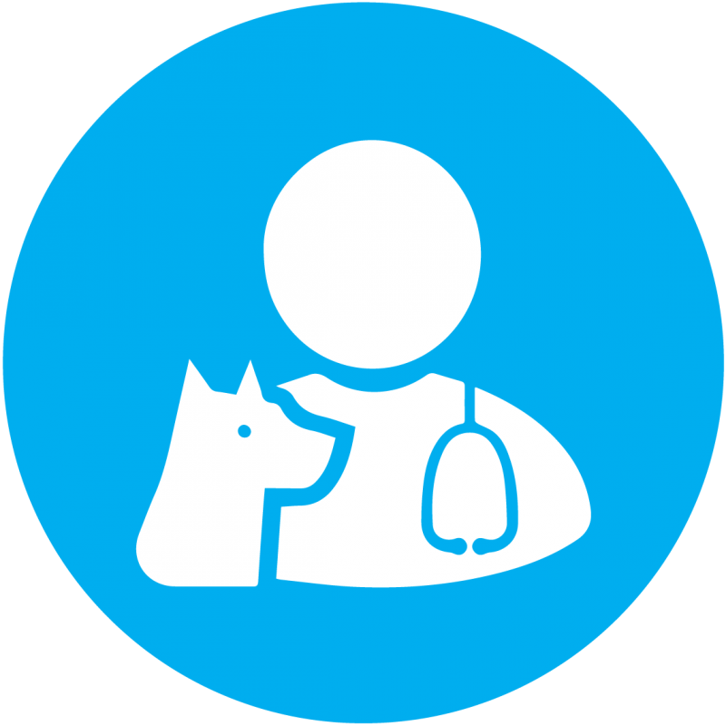 Eastern Veterinary Clinic - Transparent Background Twitter Logo (800x800)