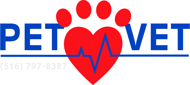 Mpetvet Clinic - Heart (607x271)
