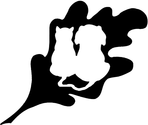 Plover Stevens Point Wi - Oakview Veterinary Medical Center Inc. (500x423)