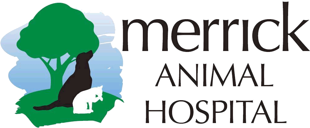 Merrick Animal Hospital - Castle Rock (1030x434)