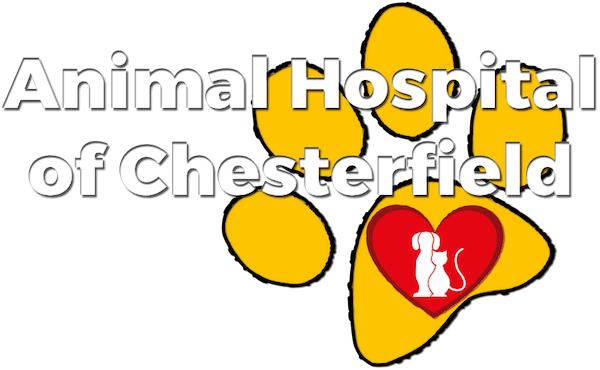 Animal Hospital Of Chesterfield - Animal Hospital Of Chesterfield (600x370)