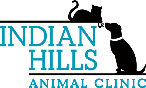 Tuscaloosa Animal Clinic - Cat Jumps (500x310)