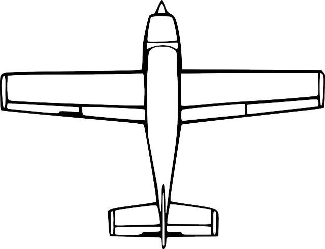 Airplane Cartoon Png - Airplane Birds Eye View (640x491)