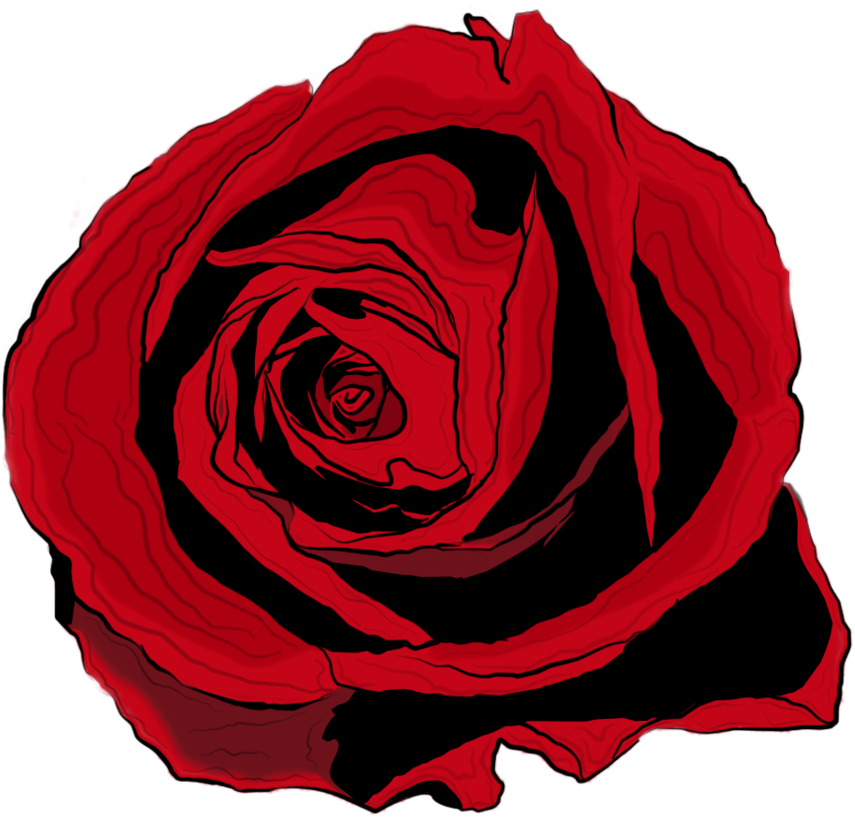 Rose Drawing By Bobhertley - Red Rose Png Drawing (1024x1017)