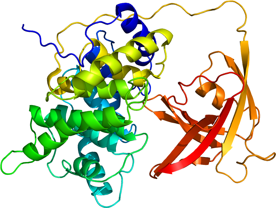 Protein Gif Pdb 2ckt - Factor Intrinseco De Castle (1200x1000)