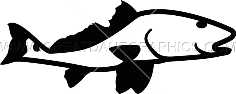 Redfish - Clip Art (825x330)